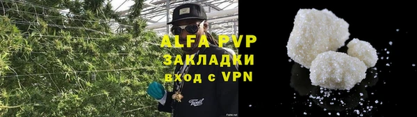 гидра Белокуриха