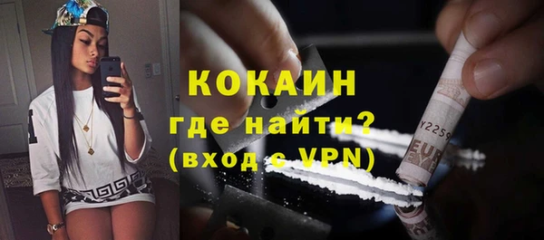шишки Беломорск