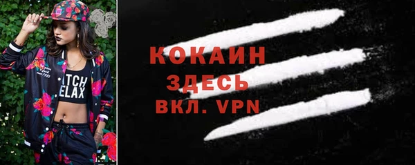 гидра Белокуриха
