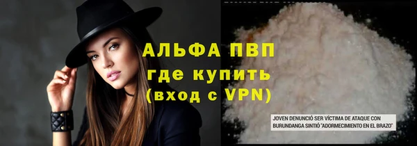 шишки Беломорск