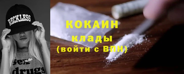 шишки Беломорск