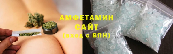 гидра Белокуриха