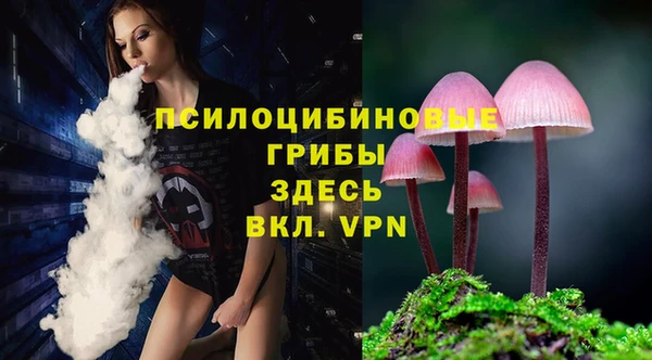 шишки Беломорск