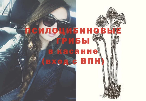 гидра Белокуриха