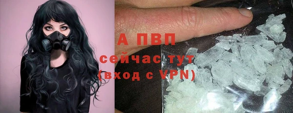 крисы Белоозёрский