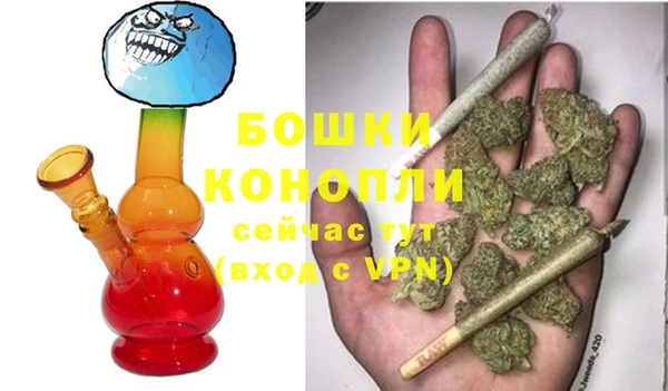 шишки Беломорск