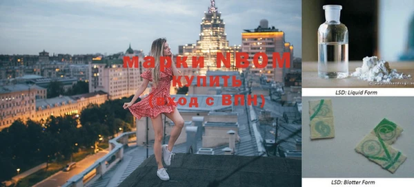 шишки Беломорск