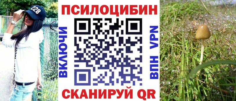 Псилоцибиновые грибы прущие грибы  сколько стоит  Высоковск 